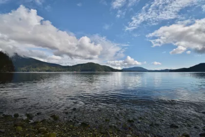 Front Yard Photo of 37 Lots Witherby Beach Road, Gibsons, BC