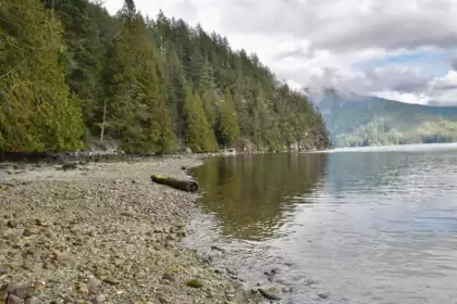 Garden / Landscaping Photo of 37 Lots Witherby Beach Road, Gibsons, BC