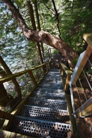 Kitchen Photo of 37 Lots Witherby Beach Road, Gibsons, BC