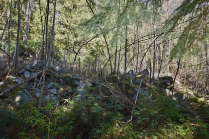 Laundry Room Photo of 37 Lots Witherby Beach Road, Gibsons, BC
