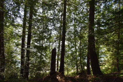Mudroom Photo of 37 Lots Witherby Beach Road, Gibsons, BC