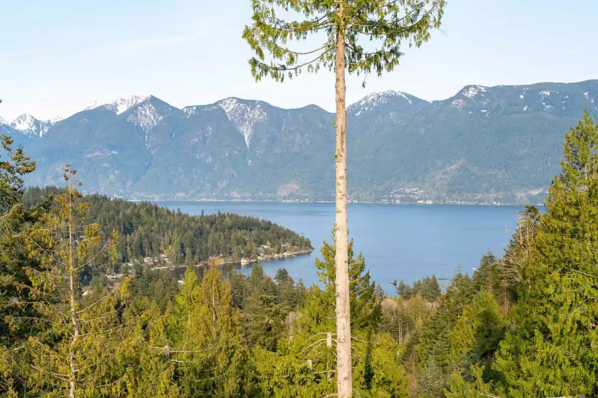 Outdoor Kitchen Photo of 873 Rivendell Drive, Bowen Island, BC
