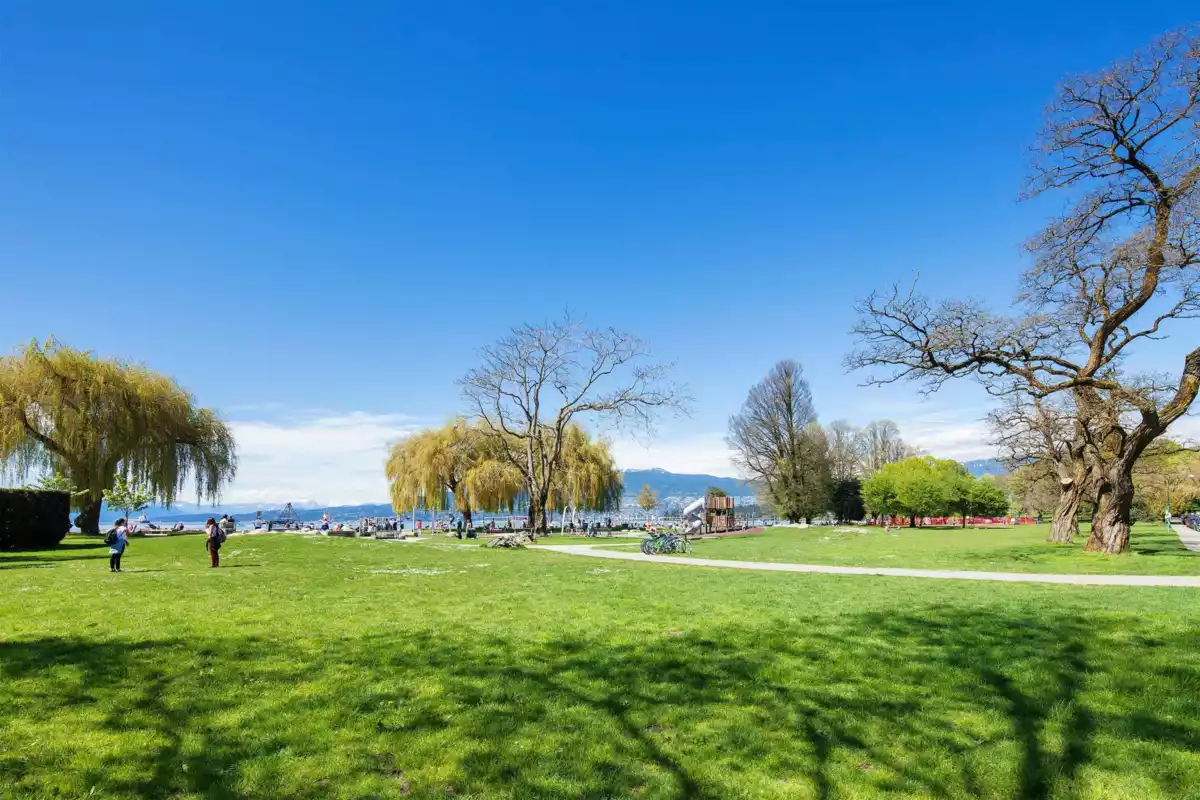 Basement Recreation Room Photo of 1325/27 Laburnum Street, Vancouver, BC