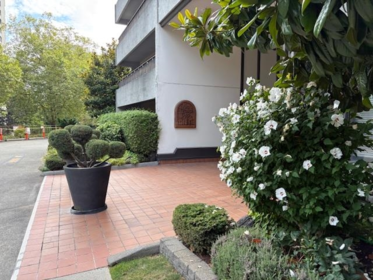 203 4194 Maywood Street, Burnaby, BC, Burnaby — Apartment/Condo for sale