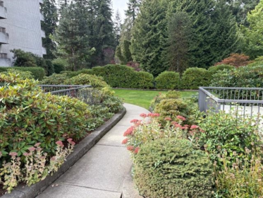 203 4194 Maywood Street, Burnaby, BC, Burnaby — Apartment/Condo for sale