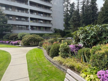 203 4194 Maywood Street, Burnaby, BC, Burnaby — Apartment/Condo for sale