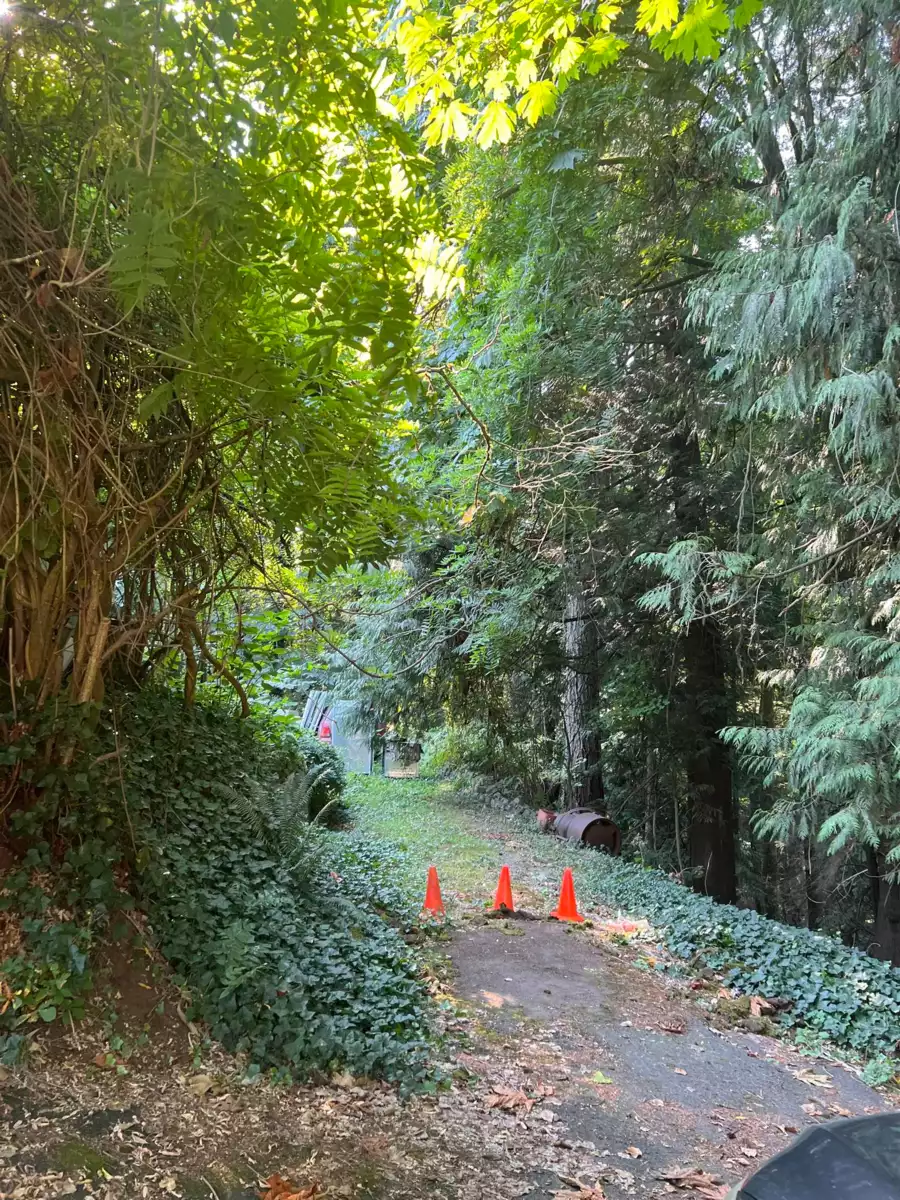 Pantry Photo of 1320 Austin Avenue, Coquitlam, BC