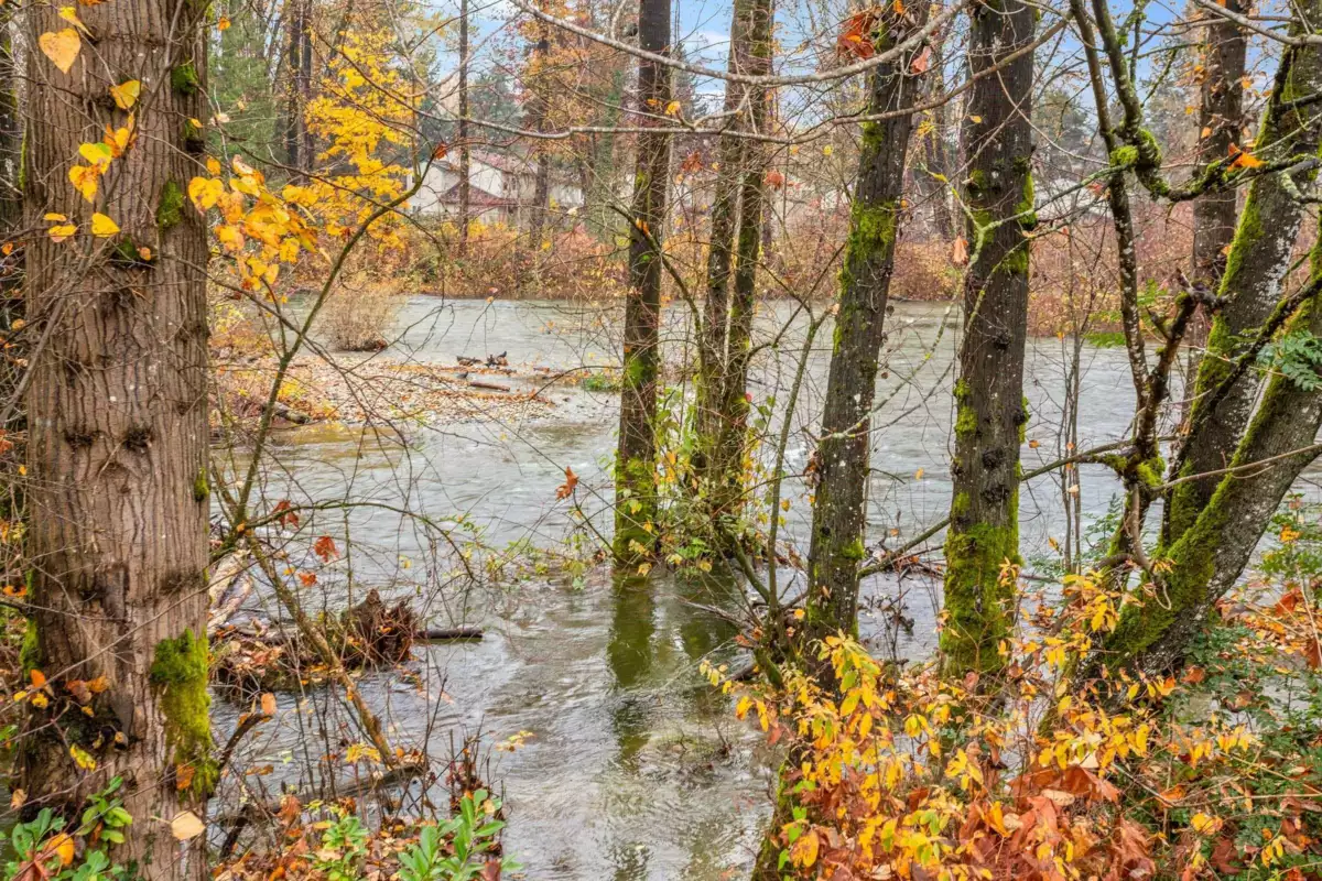 Hot Tub / Spa Photo of 307 2335 Whyte Avenue, Port Coquitlam, BC
