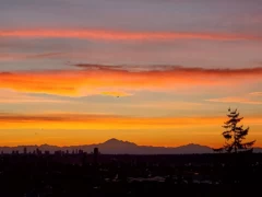 1140 7288 Acorn Avenue, Burnaby, BC