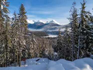 8377 Mountain View Drive, Whistler, BC, Whistler — Land for sale