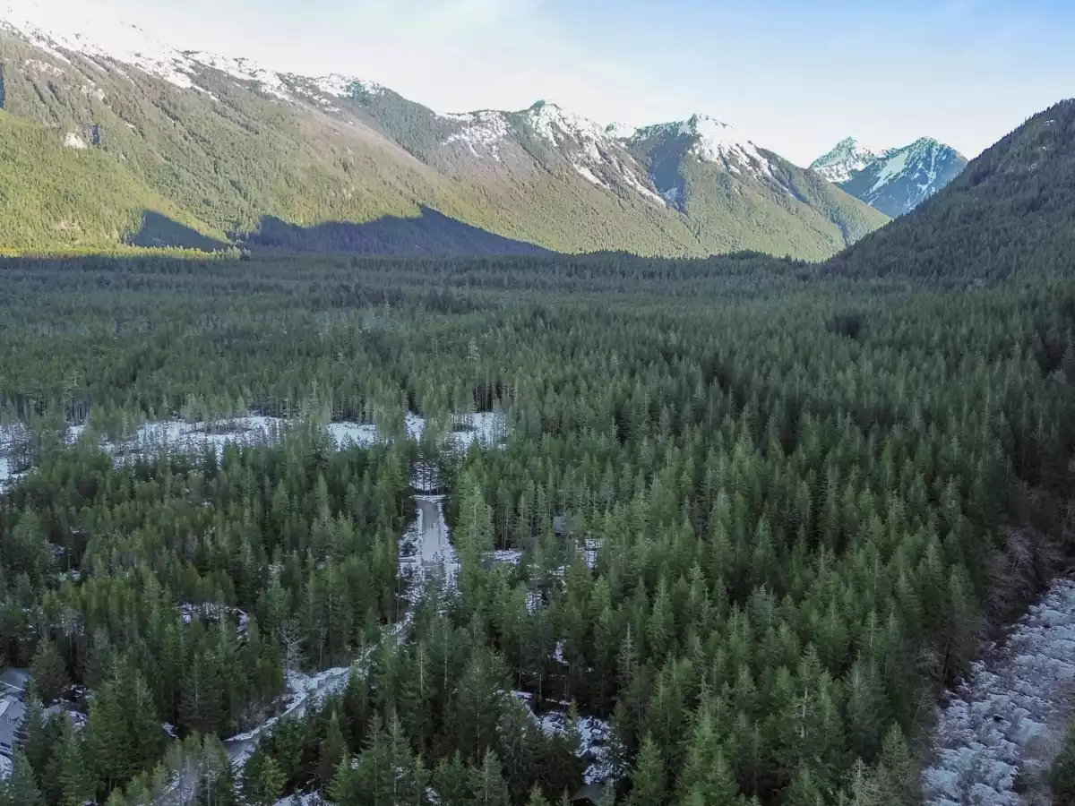 Aerial View of 5102 Paulsen Road, Chilliwack, BC