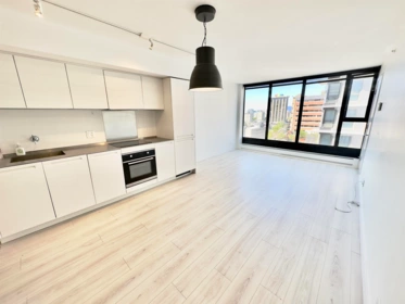 1608 1133 Hornby Street, Vancouver, BC