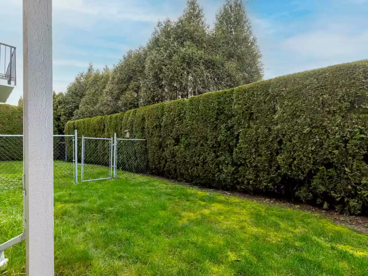 Aerial View of 87 8881 Walters Street, Chilliwack, BC