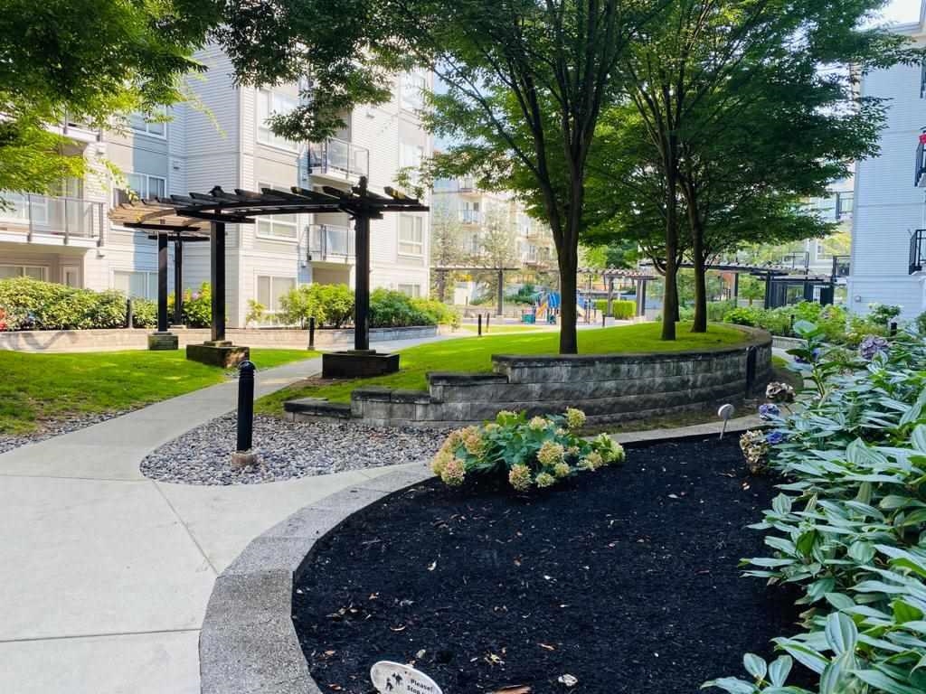 Kitchen Photo of 308 13733 107a Avenue, Surrey, BC