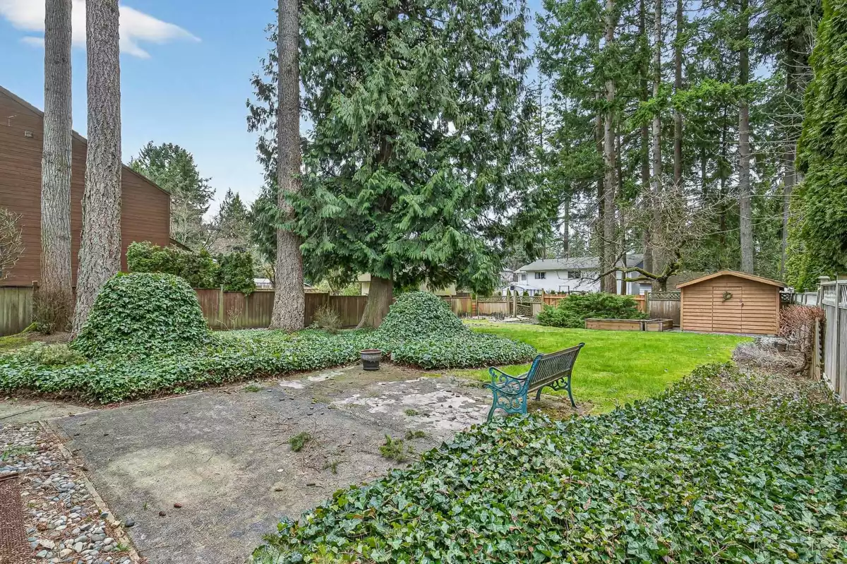Basement Recreation Room Photo of 4661 198c Street, Langley, BC