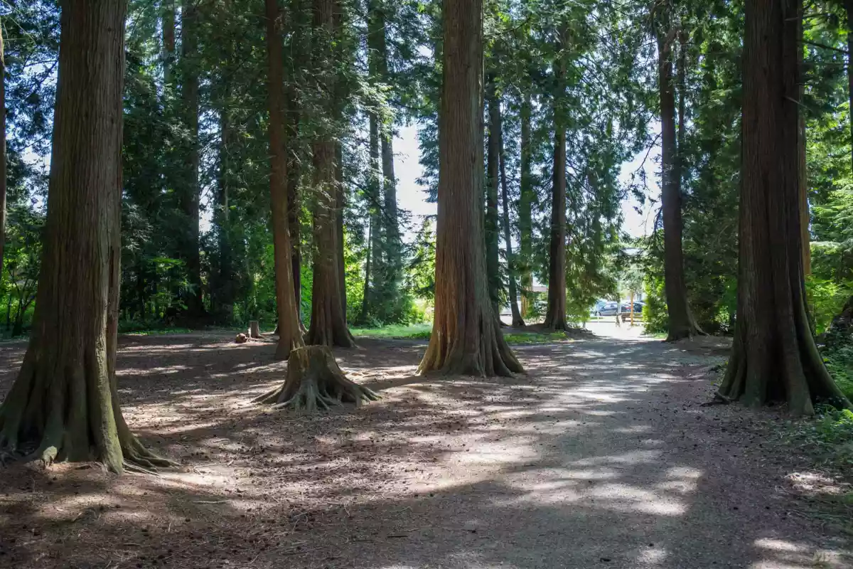 Laundry Room Photo of 12338 194a Street, Pitt Meadows, BC