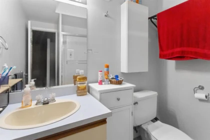 Pantry Photo of 454 Rousseau Street, New Westminster, BC