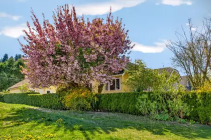 Garden / Landscaping Photo of 2721 St George Street, Port Moody, BC