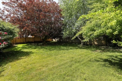 Basement Recreation Room Photo of 367 55a Street, Delta, BC