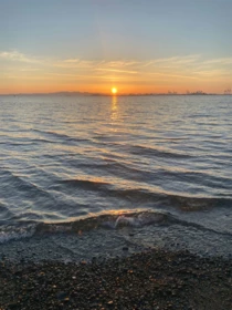 Community Amenities Photo (Clubhouse) of 598 Tsawwassen Beach Road, Delta, BC