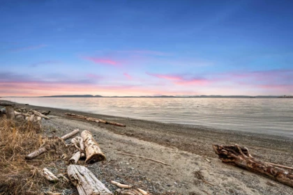 Neighborhood Park Photo Near 598 Tsawwassen Beach Road, Delta, BC
