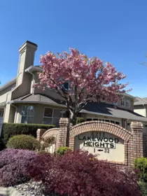 13 6211 W Boundary Drive, Surrey, BC, Surrey — Townhouse for sale