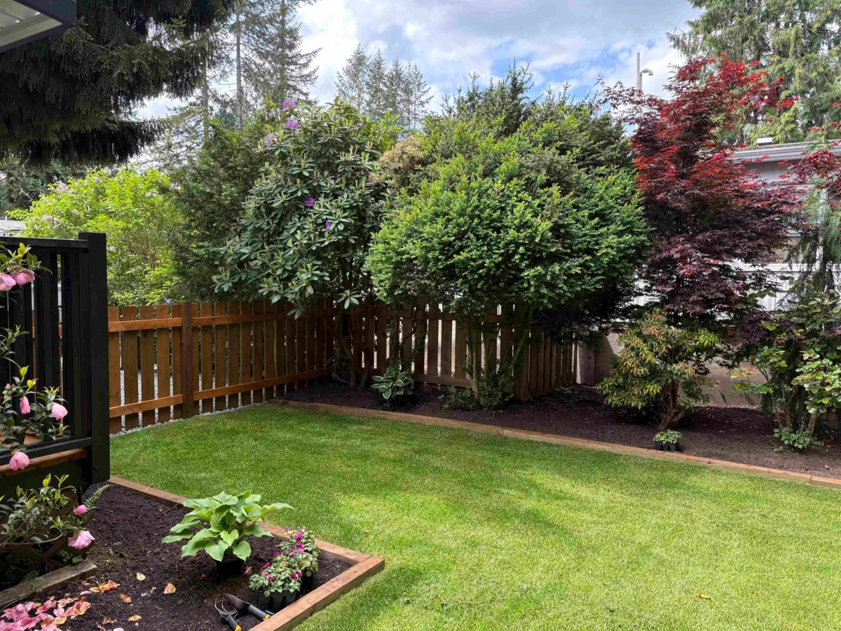 Exterior Rear Photo of 33 23325 Calvin Crescent, Maple Ridge, BC