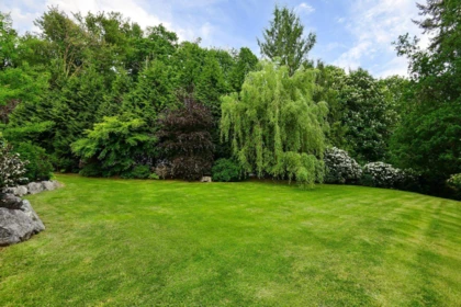 Garden / Landscaping Photo of 32500 Verdon Way, Abbotsford, BC