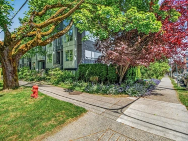 Garden / Landscaping Photo of 3096 Quebec Street, Vancouver, BC