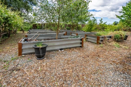 Community Amenities Photo (Clubhouse) of 4523 240th Street, Langley, BC