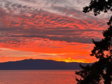 11579 Sunshine Coast Highway, Halfmoon Bay, BC, Halfmoon Bay — Single Family Residence for sale