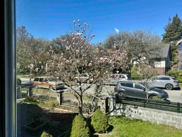 Street View Photo of 1544 W 68th Avenue, Vancouver, BC