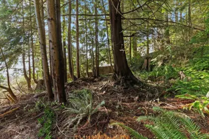 Pantry Photo of 478 Craigmohr Drive, West Vancouver, BC