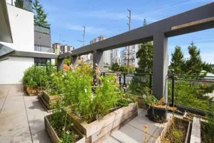 Aerial View of 1018 Auckland Street, New Westminster, BC