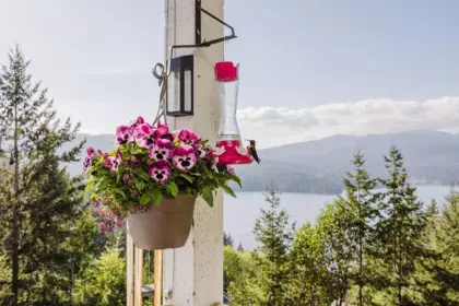 Office / Den Photo of 5872 Deerhorn Drive, Sechelt, BC