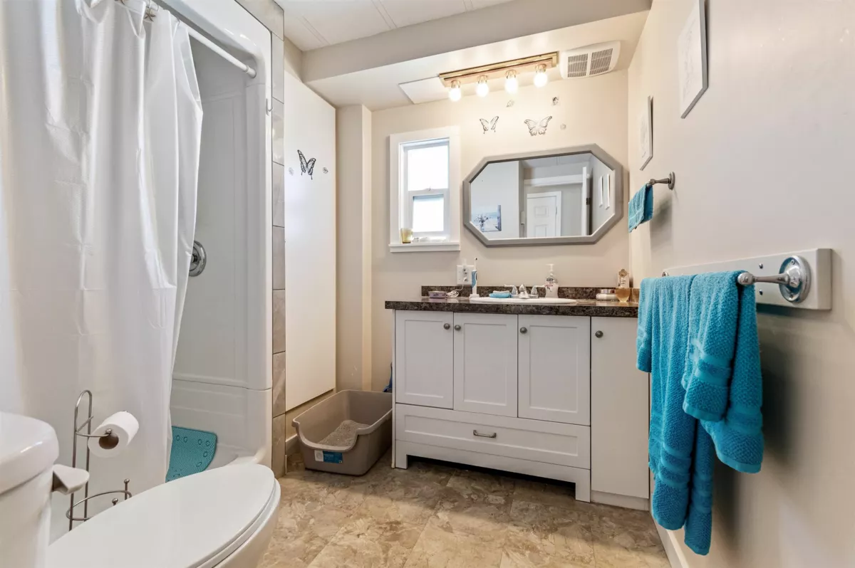 Basement Recreation Room Photo of 18 62780 Flood Hope Road, Hope, BC