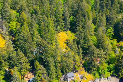 Living Room Photo of 319 David Road, Bowen Island, BC