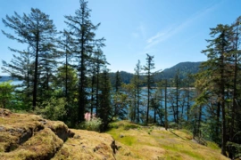319 David Road, Bowen Island, BC