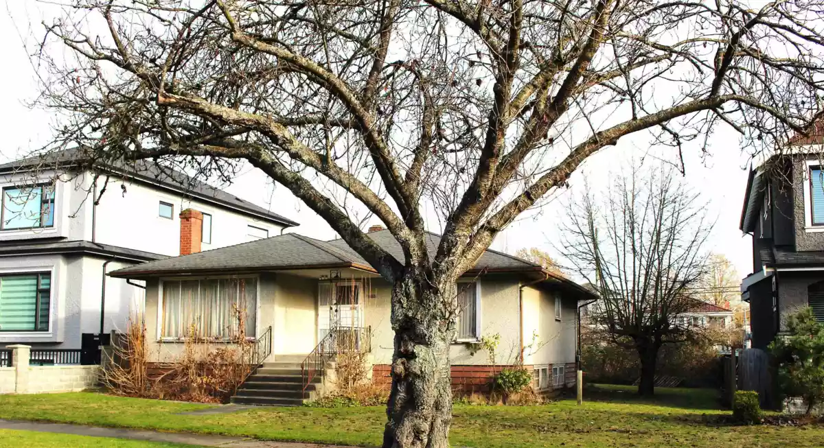 Exterior Rear Photo of 7160 Inverness Street, Vancouver, BC