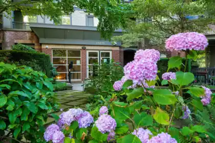 309 10499 University Drive, Surrey, BC