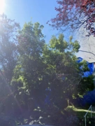 4538 W 12th Avenue, Vancouver, BC