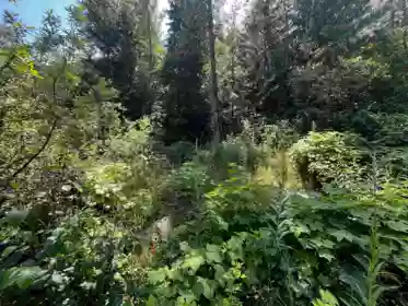 70921 Old Hope Princeton Highway, Sunshine Valley, BC, Sunshine Valley — Land for sale