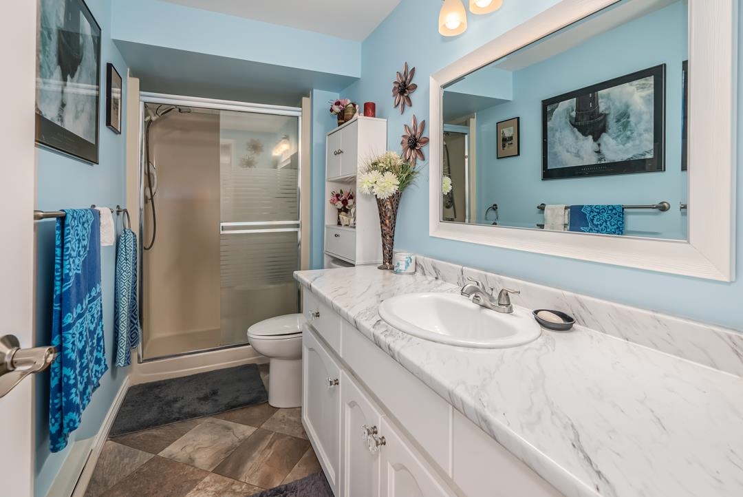 Basement Recreation Room Photo of 38 3115 Trafalgar Street, Abbotsford, BC