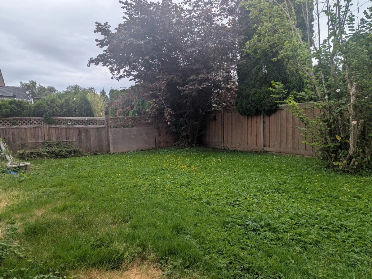 Bedroom 2 Photo of 22964 Reid Avenue, Maple Ridge, BC