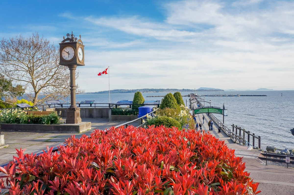 Basement Recreation Room Photo of 1805 1500 Martin Street, White Rock, BC