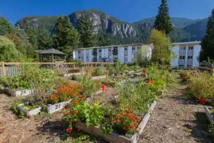 49 38185 Westway Avenue, Squamish, BC, Squamish — Apartment/Condo for sale