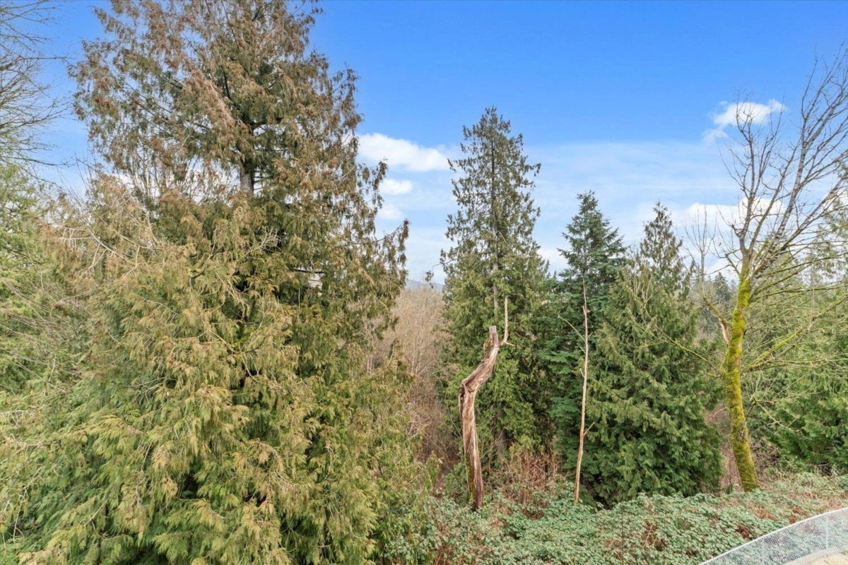 Backyard Photo of 24 3380 Gladwin Road, Abbotsford, BC