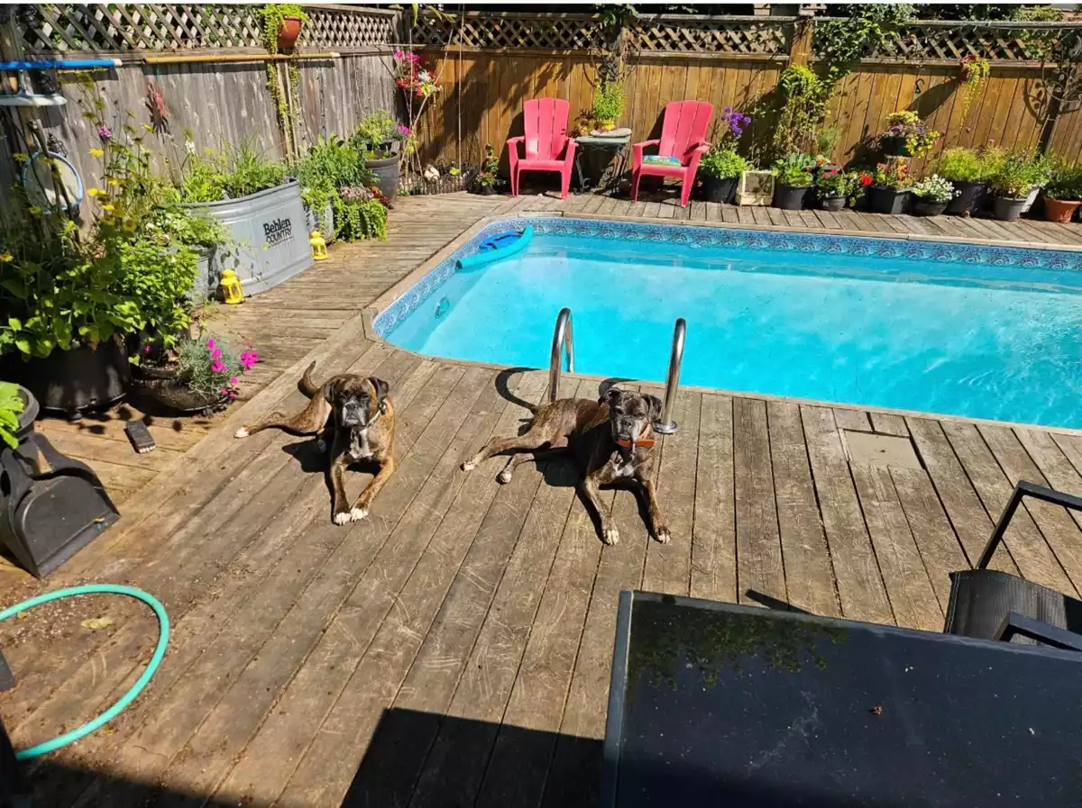 Neighborhood Park Photo Near 1265 Lynwood Avenue, Port Coquitlam, BC