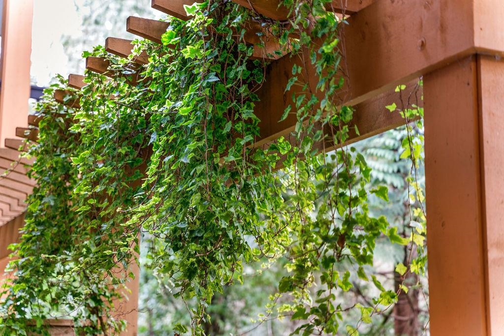 Basement Recreation Room Photo of 106 3125 Capilano Crescent, North Vancouver, BC