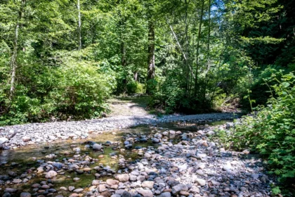 Backyard Photo of 1371 Sunshine Coast Highway, Gibsons, BC